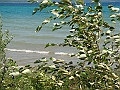 Western Michigan [2010] 570